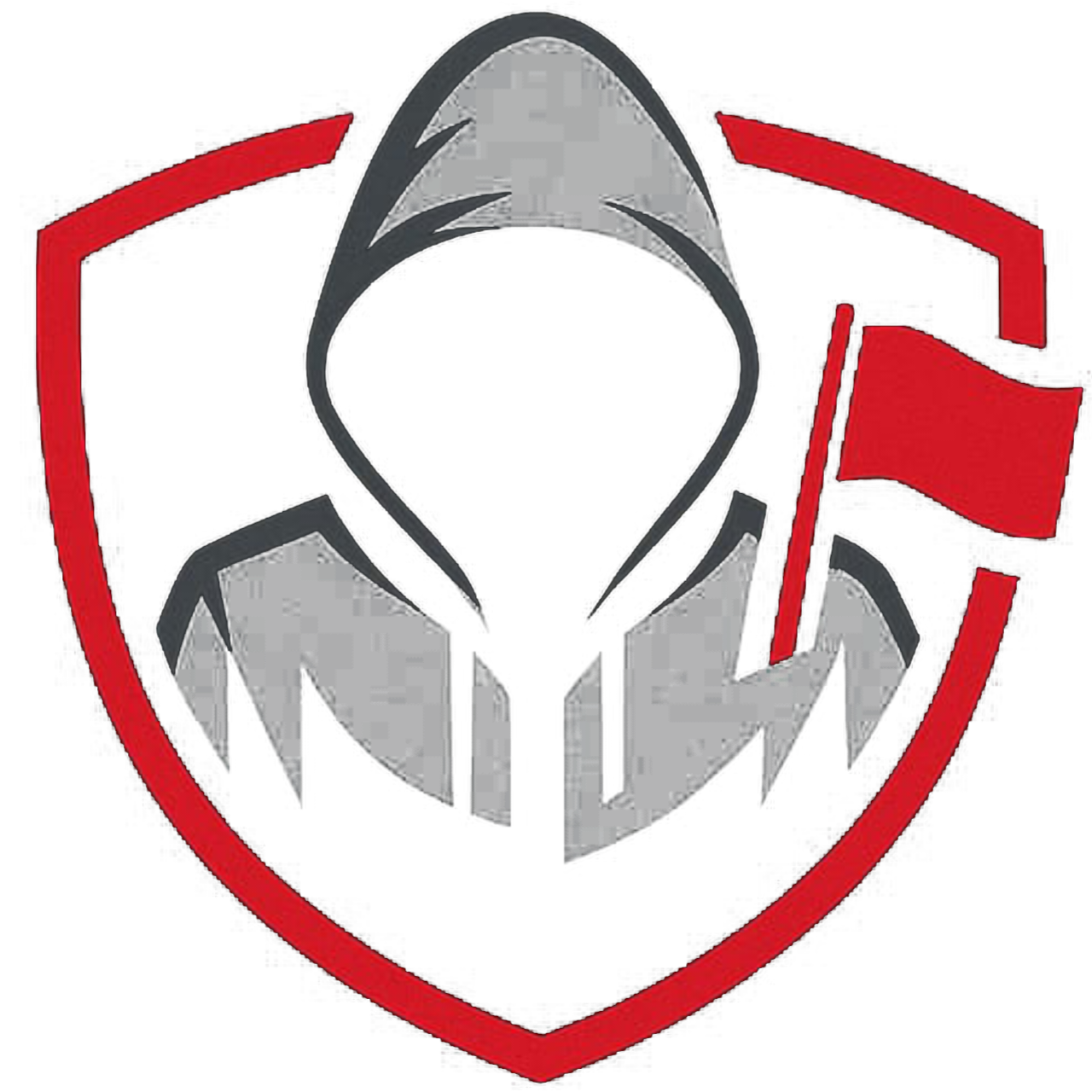 CTF Hunter